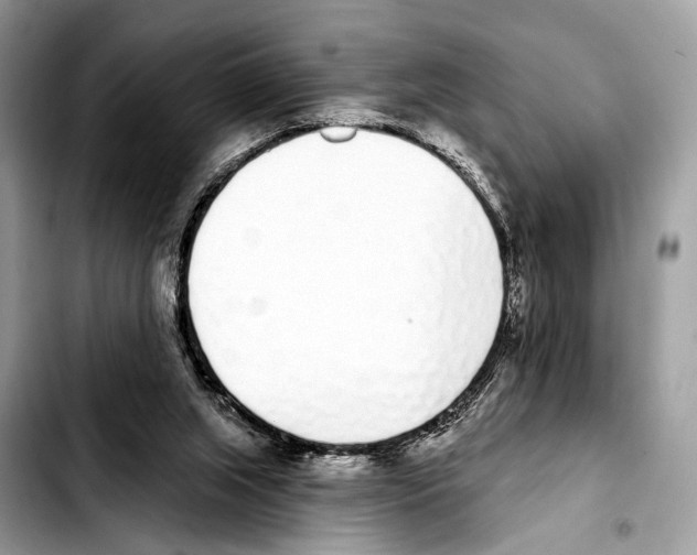 X0000103440063200810101114