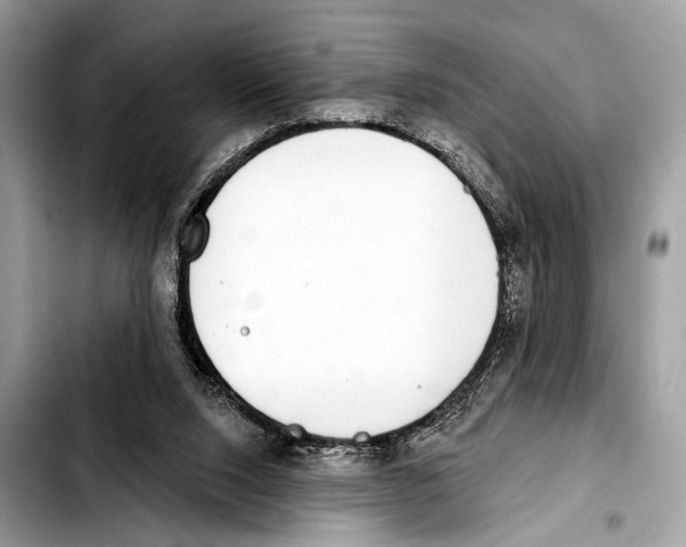 X0000103440064200810101114