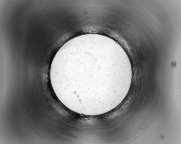 X0000103440065200810101114