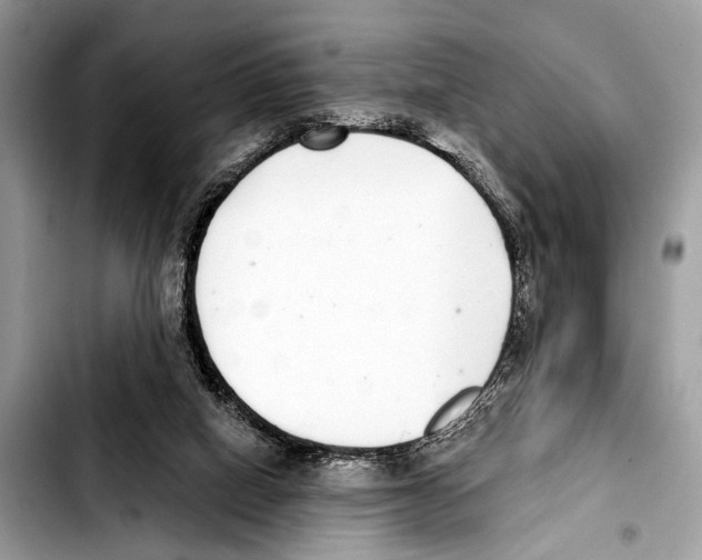 X0000103440066200810101114
