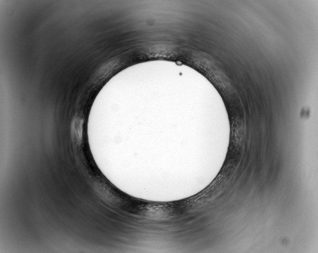 X0000103440070200810101114