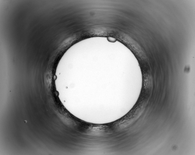 X0000103440072200810101114