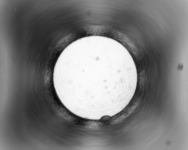 X0000103440073200810101114