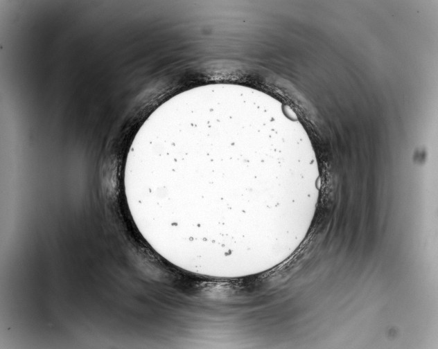 X0000103440074200810101114