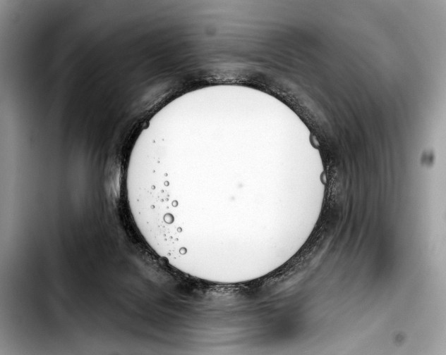 X0000103440076200810101114