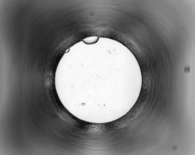 X0000103440077200810101114
