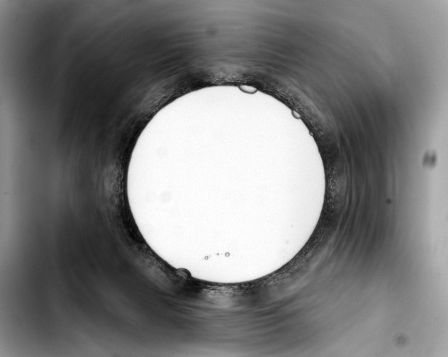 X0000103440079200810101114