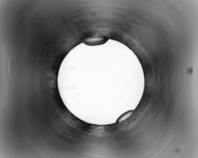 X0000103440083200810101114