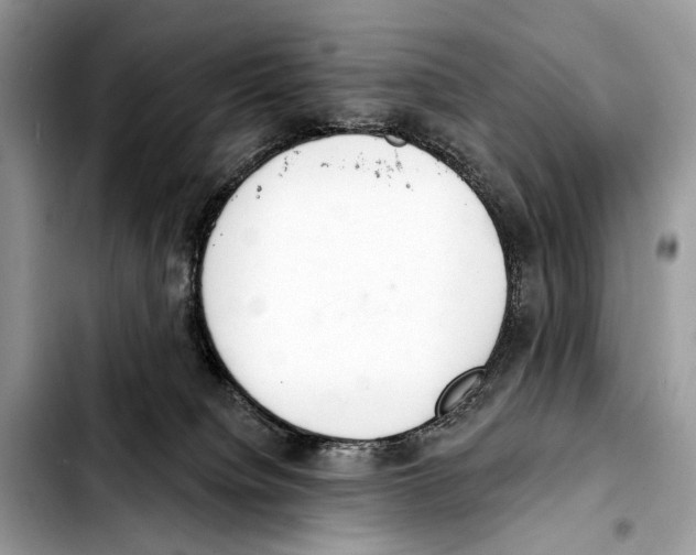 X0000103440084200810101114