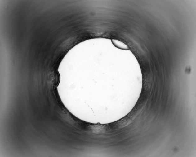 X0000103440085200810101114