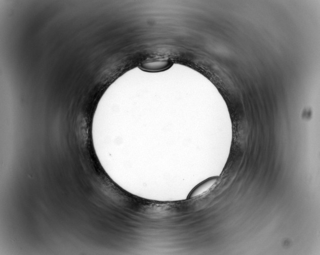 X0000103440086200810101114