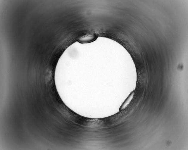 X0000103440087200810101114
