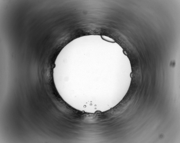 X0000103440088200810101114