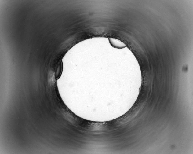 X0000103440089200810101114