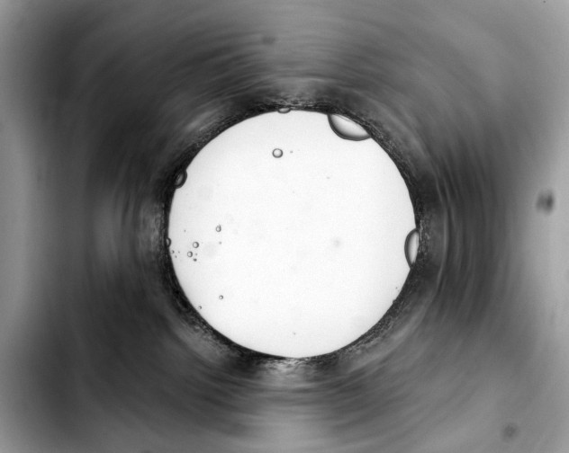 X0000103440092200810101114