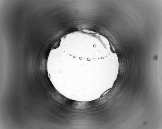 X0000103440093200810101114