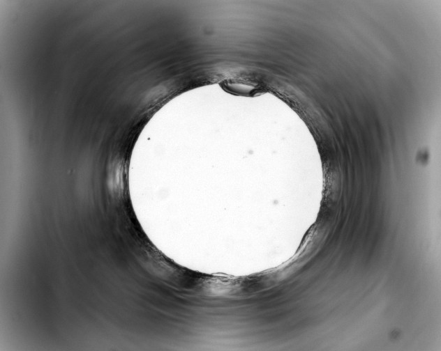 X0000103440094200810101114