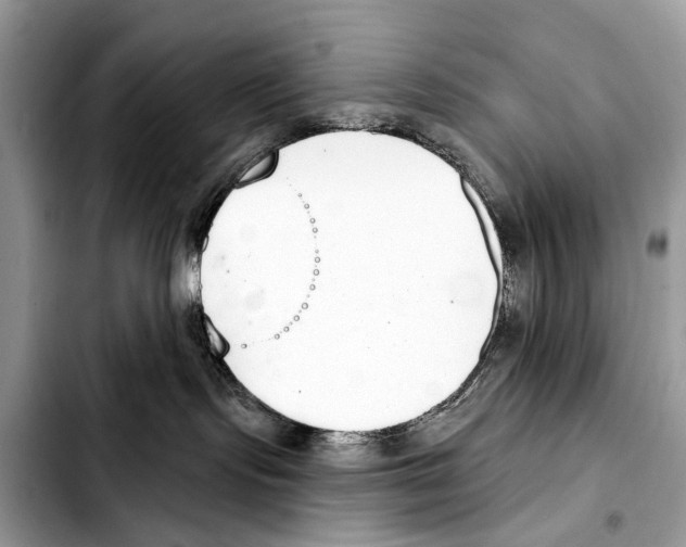 X0000103440095200810101114