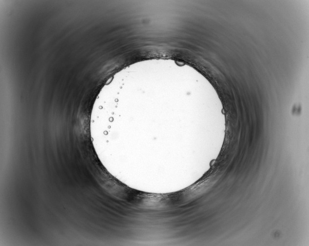 X0000103440096200810101114