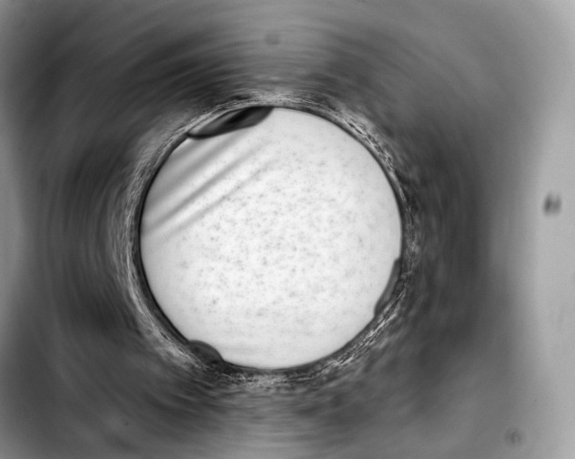 X0000103440097200810101114