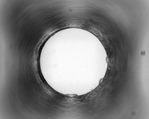X0000103440098200810101114
