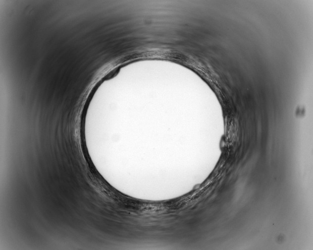 X0000103440099200810101114