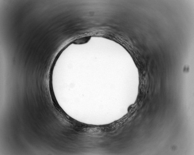 X0000103440100200810101114