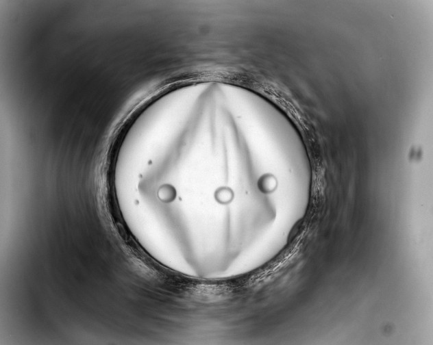 X0000103440101200810101114