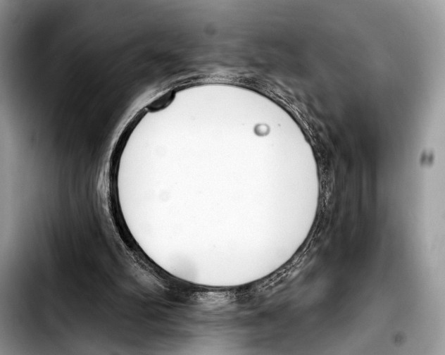 X0000103440102200810101114