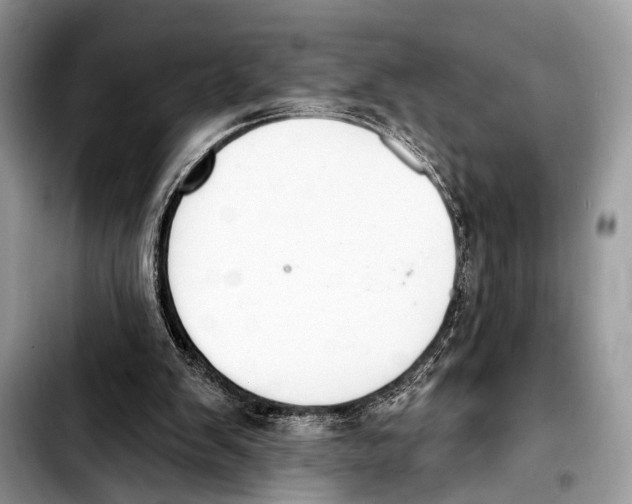 X0000103440103200810101114
