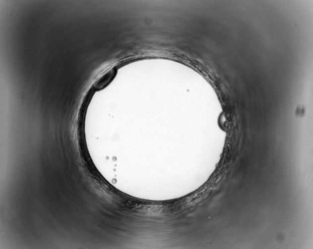 X0000103440104200810101114