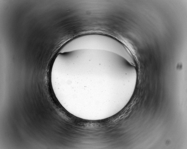 X0000103440105200810101114
