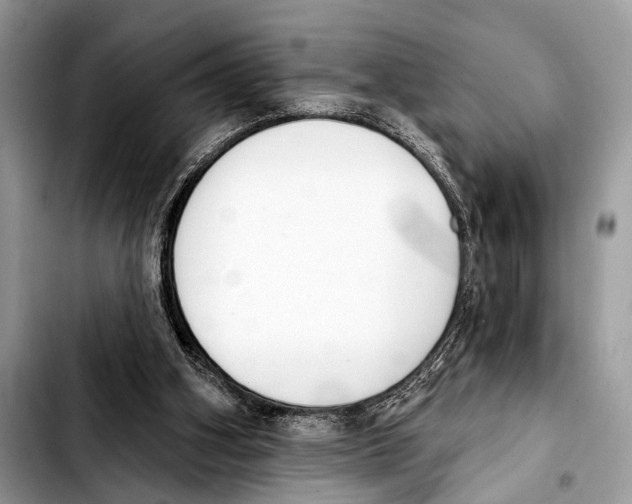 X0000103440106200810101114