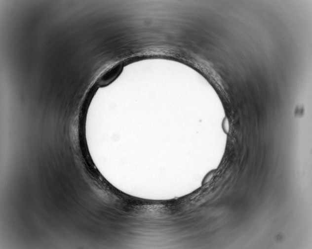 X0000103440108200810101114
