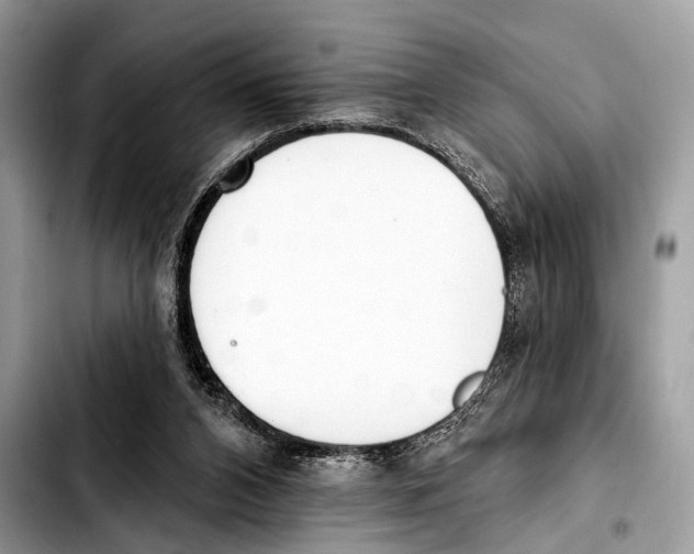 X0000103440112200810101114