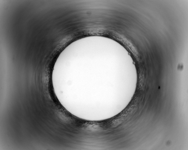 X0000103440113200810101114