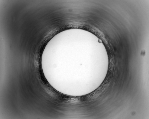 X0000103440114200810101114
