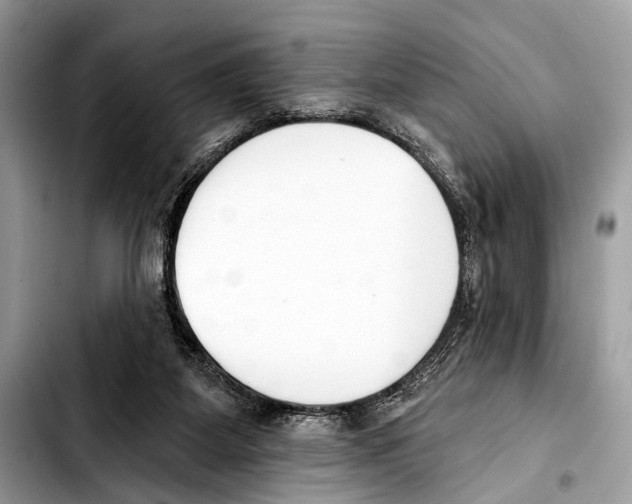 X0000103440115200810101114
