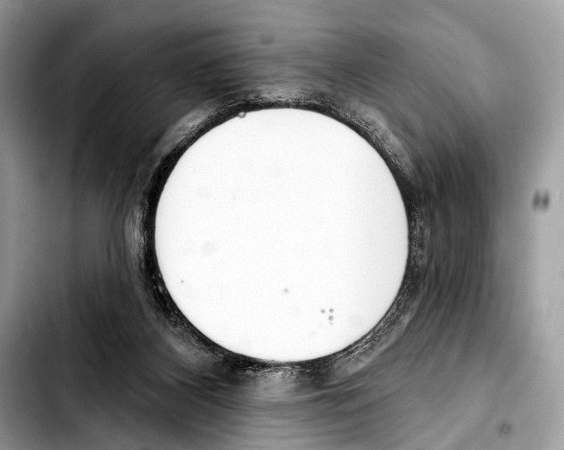 X0000103440116200810101114