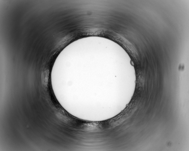 X0000103440118200810101114