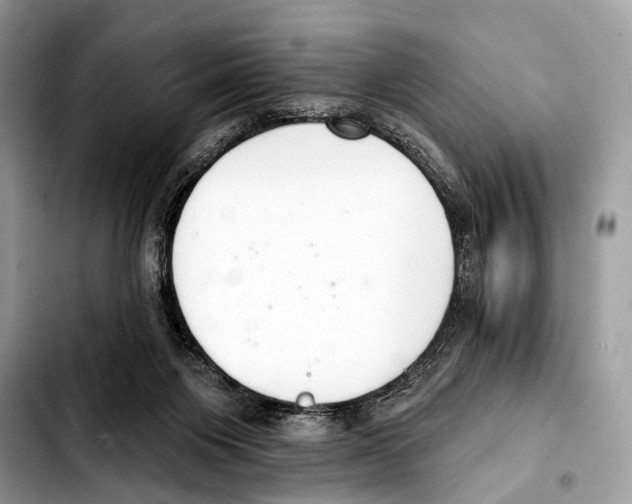 X0000103440119200810101113