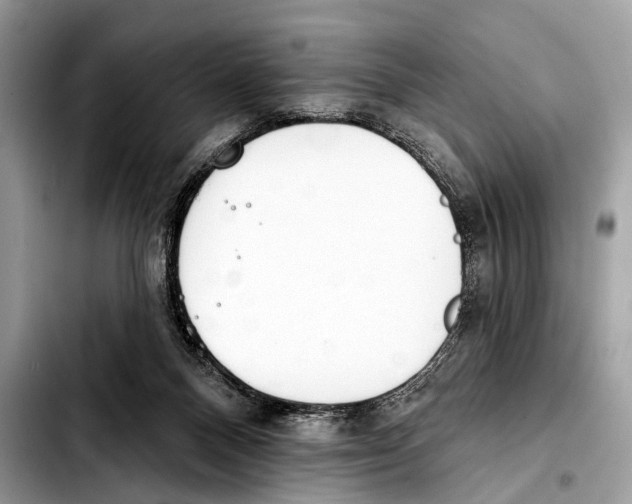X0000103440120200810101113