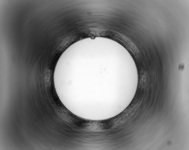X0000103440121200810101113