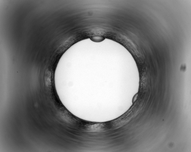 X0000103440122200810101113