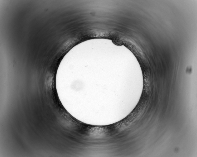 X0000103440123200810101113