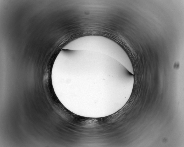 X0000103440124200810101113