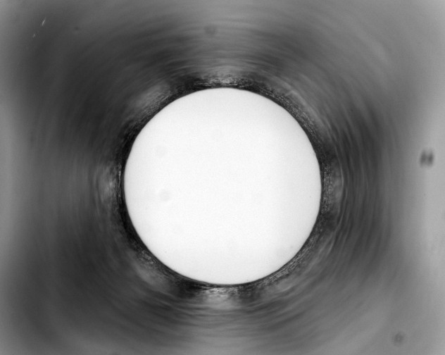X0000103440126200810101113