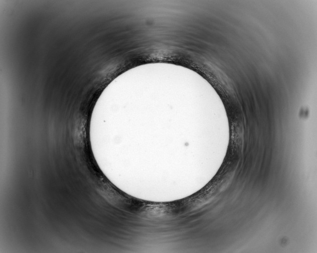 X0000103440127200810101113
