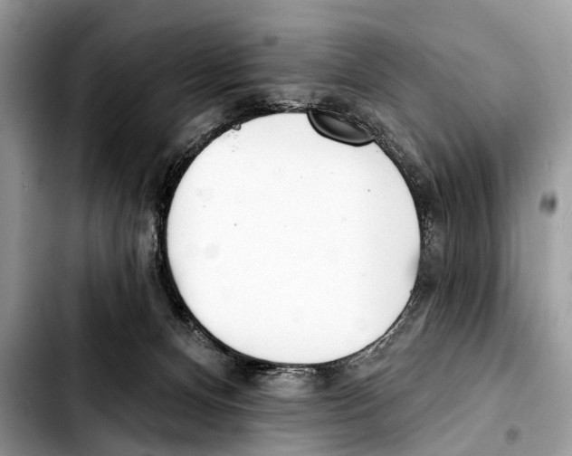 X0000103440128200810101113