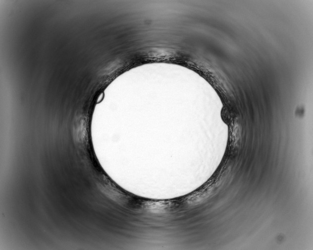 X0000103440131200810101113